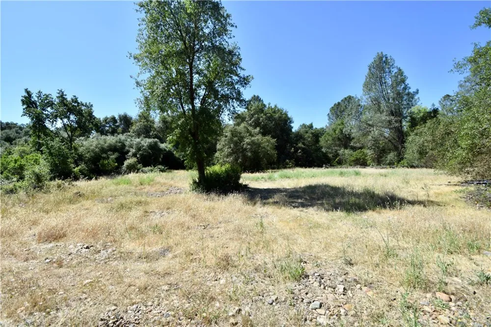 Maple Avenue Oroville, CA 95966