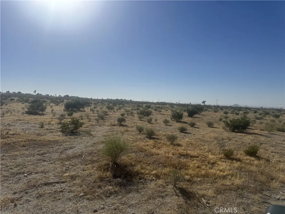 4432 Camellia Phelan, CA 92371