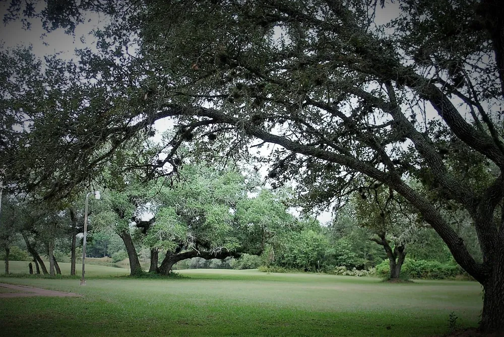 1218 Forest Oak Drive Altair, TX 77442
