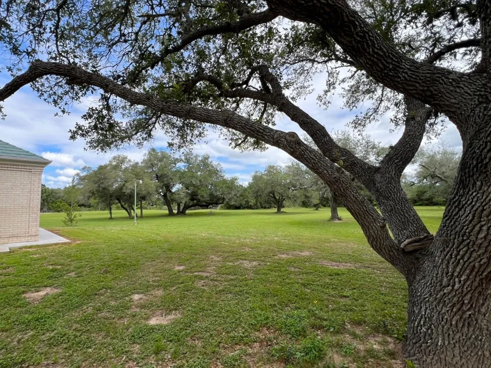1218 Forest Oak Drive Altair, TX 77442