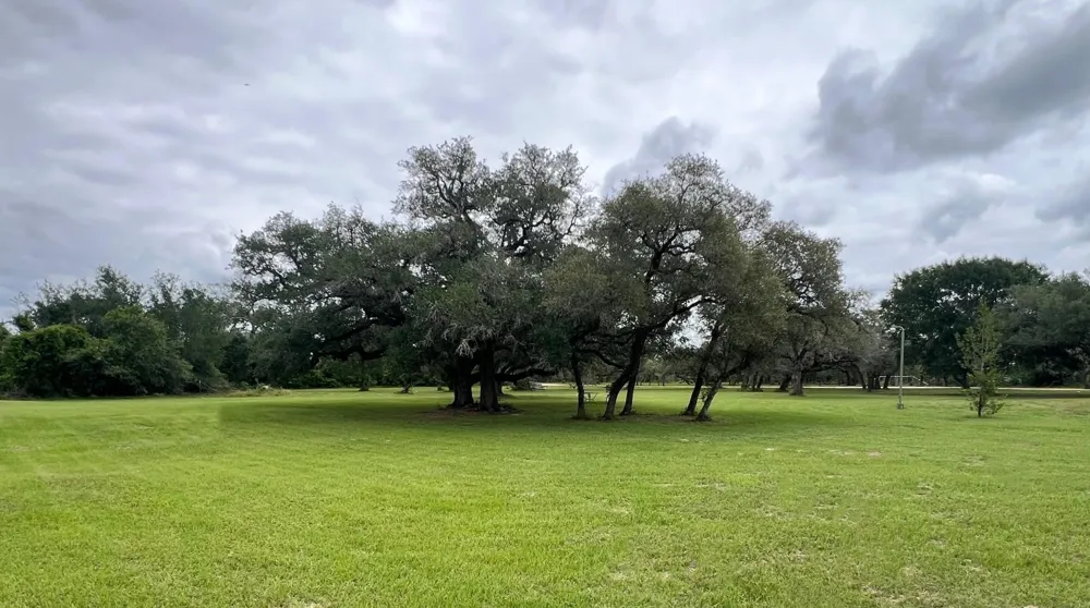 1218 Forest Oak Drive Altair, TX 77442