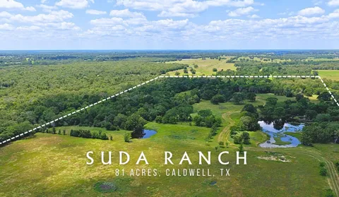 5380 County Road 132 - 81 Acres