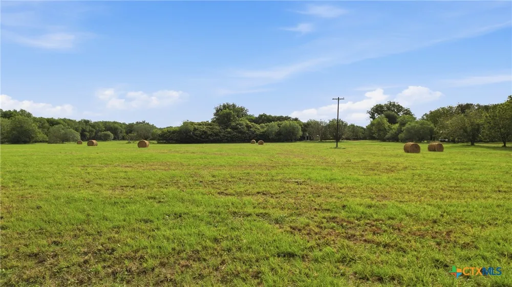 1301 Sea Willow Drive Marion, TX 78124
