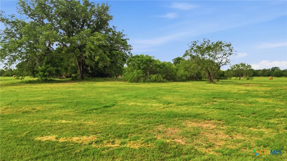 1301 Sea Willow Drive Marion, TX 78124