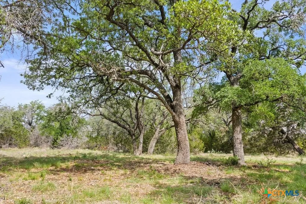 4772 County Road 340 Burnet, TX 78611