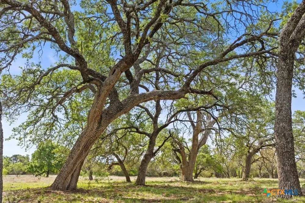 4772 County Road 340 Burnet, TX 78611