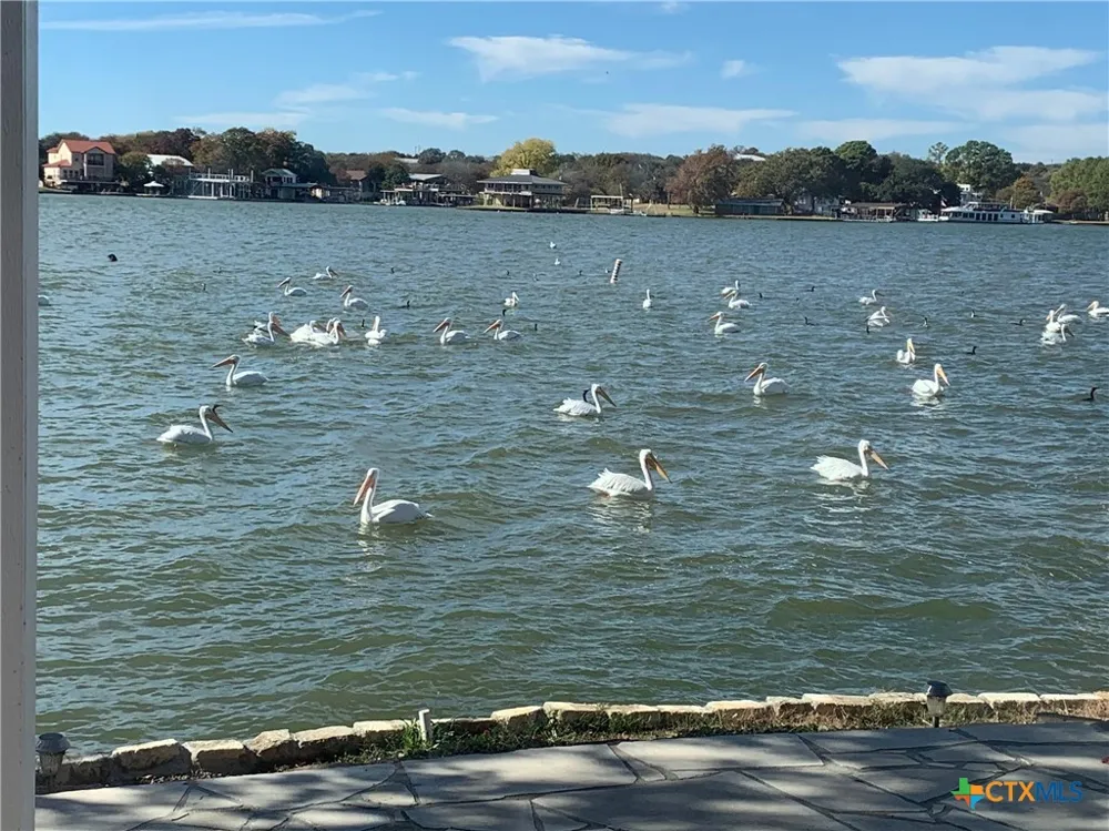 324 Granite Shoals Lane Sunrise Beach, TX 78643