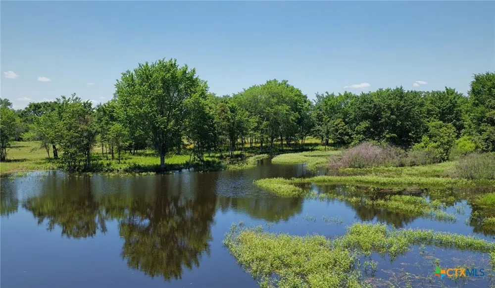 5380 County Road 132 (81.02 acres) Caldwell, TX 77836