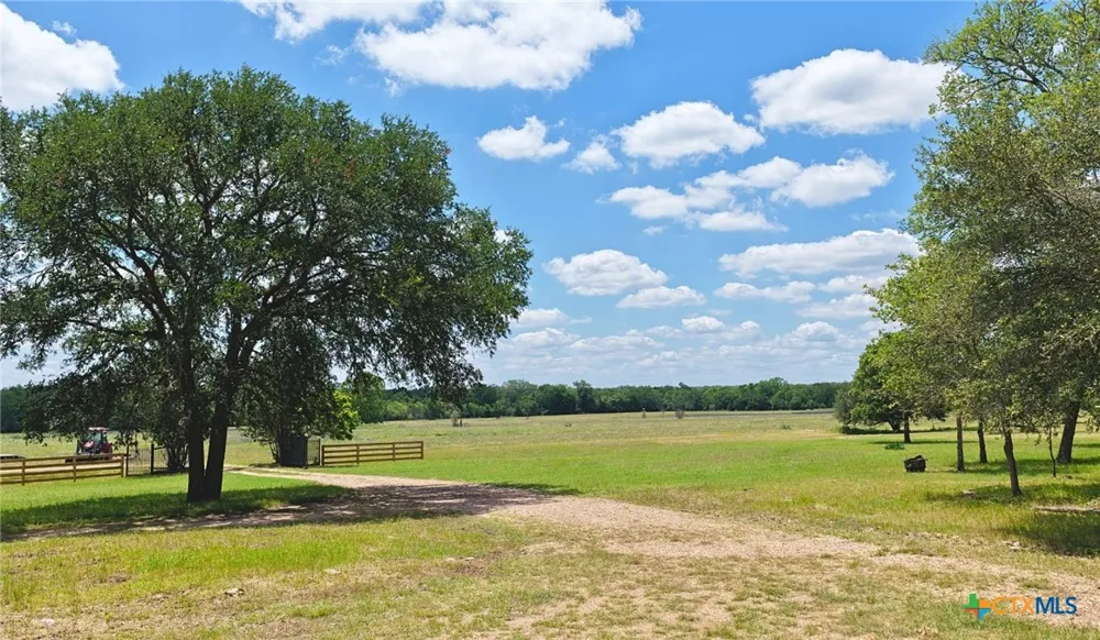 5380 County Road 132 (81.02 acres) Caldwell, TX 77836