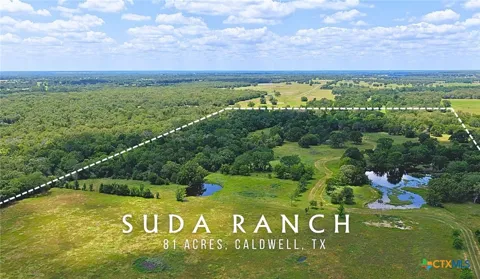 5380 County Road 132 (81.02 acres)