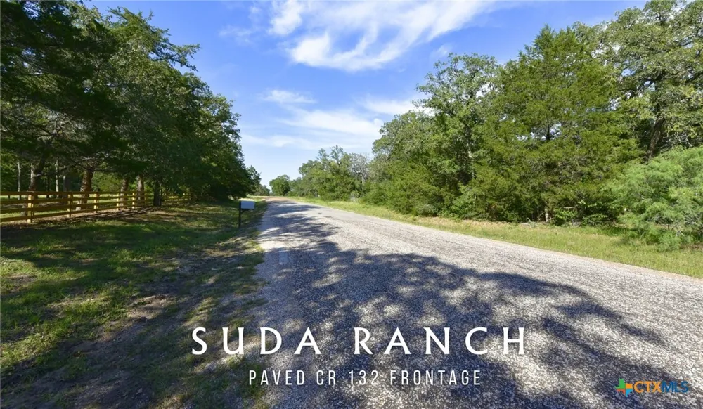 5380 County Road 132 (81.02 acres) Caldwell, TX 77836