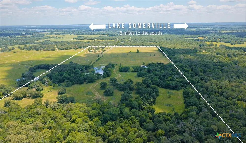 5380 County Road 132 (81.02 acres) Caldwell, TX 77836