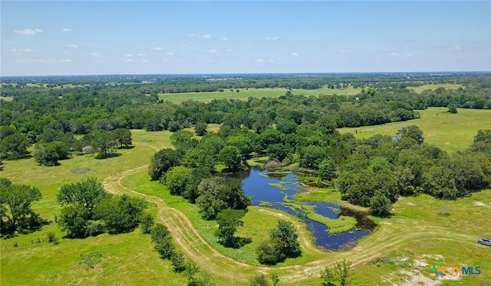 5380 County Road 132 (81.02 acres) Caldwell, TX 77836