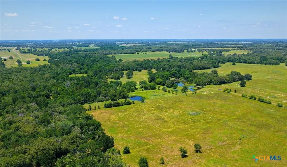 5380 County Road 132 (81.02 acres) Caldwell, TX 77836