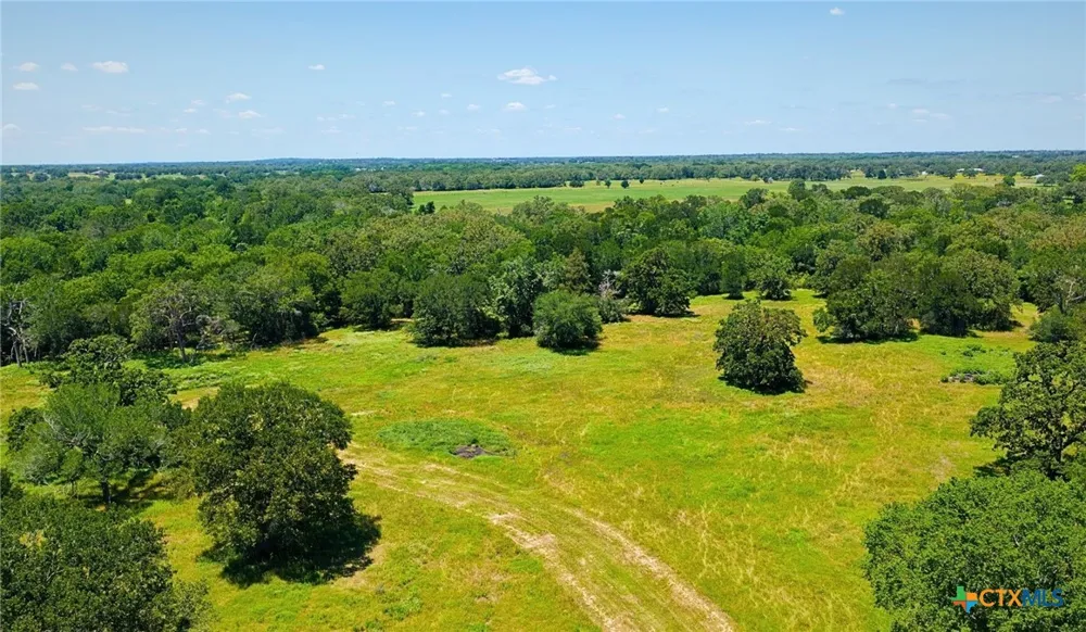 5380 County Road 132 (81.02 acres) Caldwell, TX 77836
