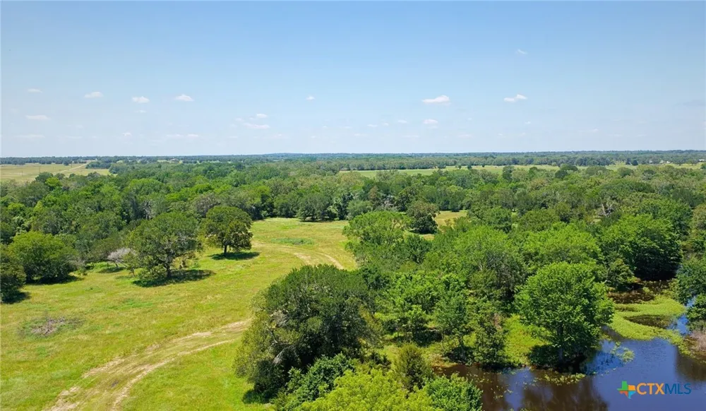 5380 County Road 132 (81.02 acres) Caldwell, TX 77836