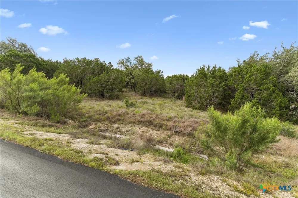 293 River Cliff Place Spring Branch, TX 78070