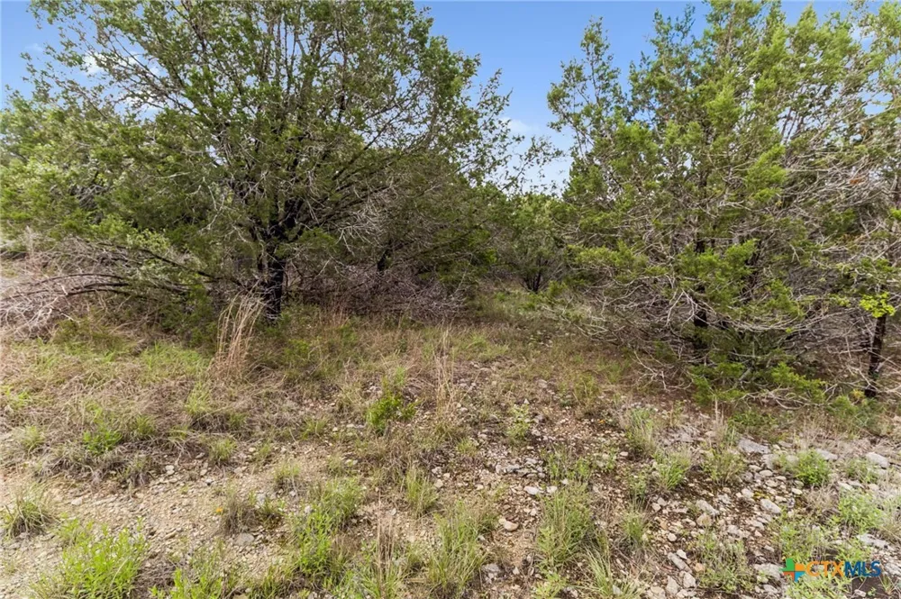293 River Cliff Place Spring Branch, TX 78070