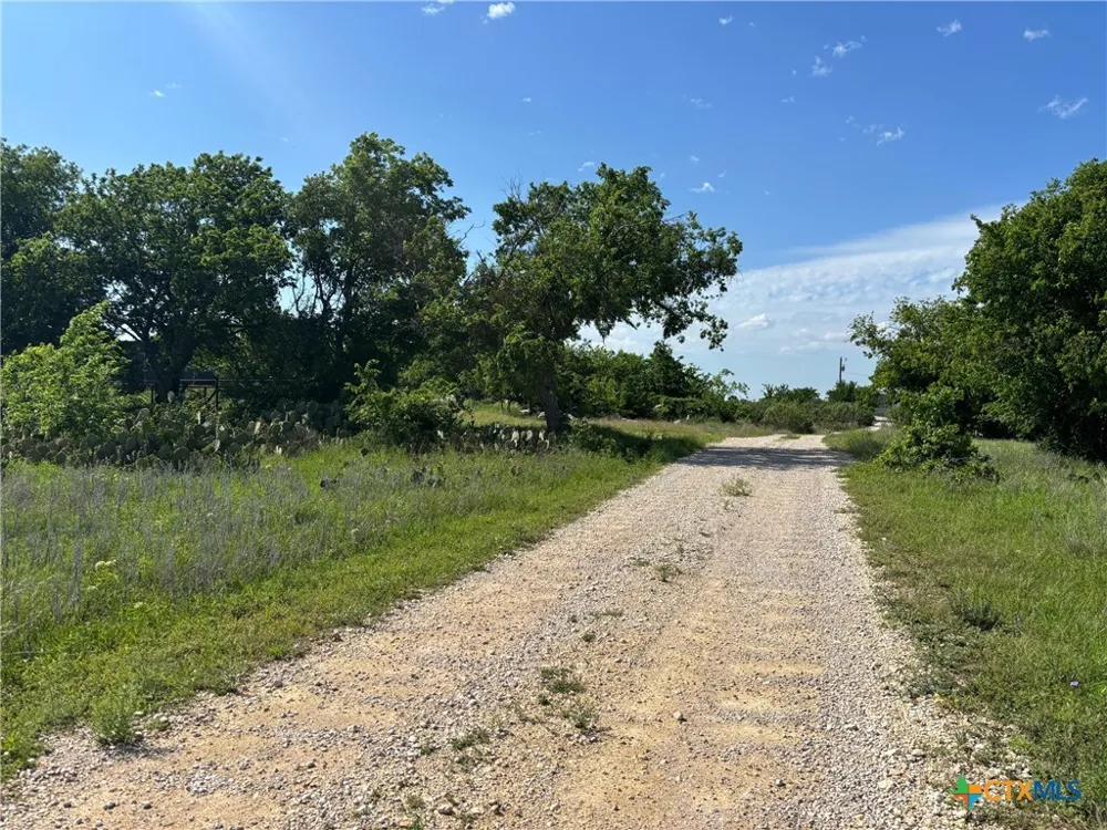 16 Titus Lane Bertram, TX 78605