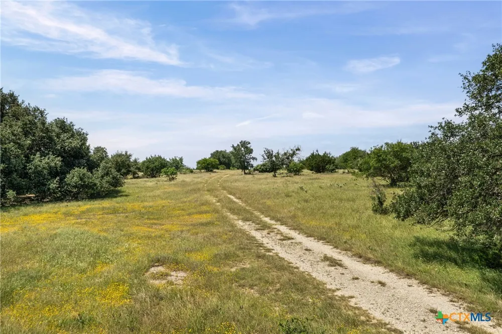 1306 Hidden Springs Drive Salado, TX 76571