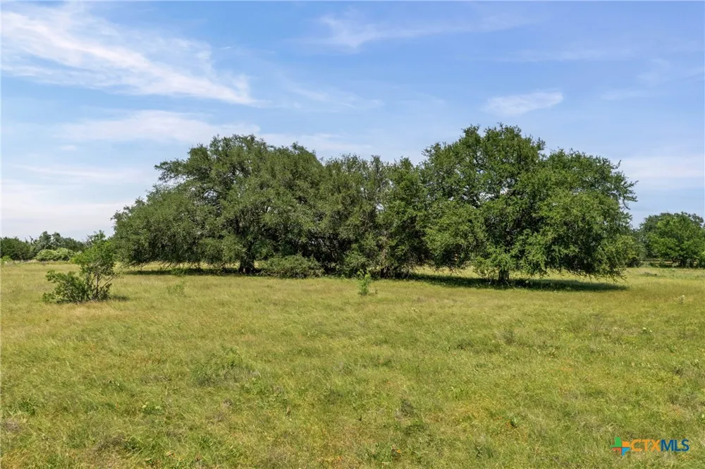1306 Hidden Springs Drive Salado, TX 76571
