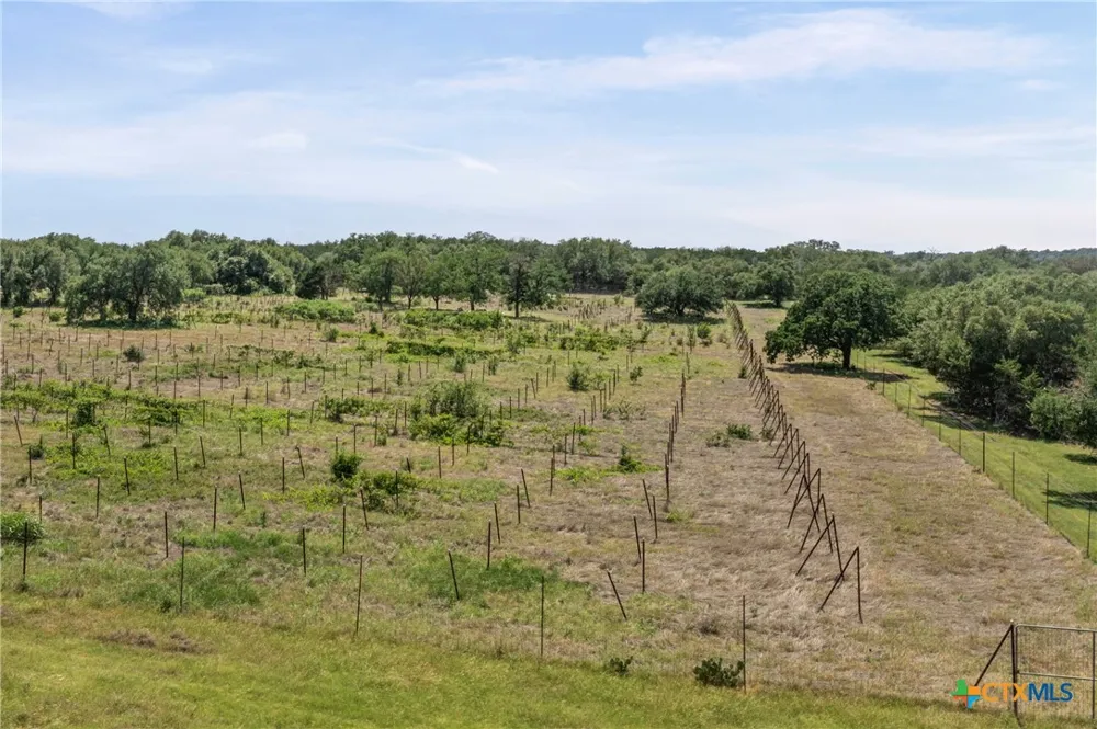 1306 Hidden Springs Drive Salado, TX 76571