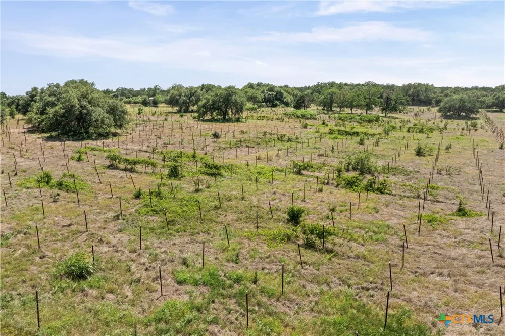 1306 Hidden Springs Drive Salado, TX 76571