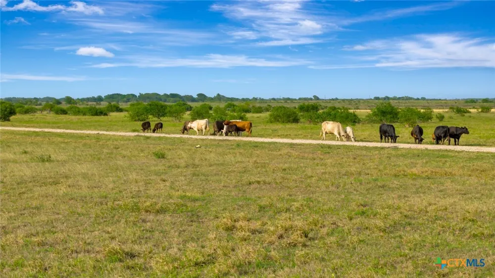 8078 State Highway 35 Palacios, TX 77465