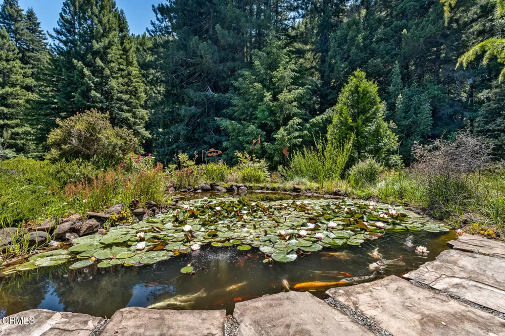 31501 Comptche Ukiah Road Comptche, CA 95427