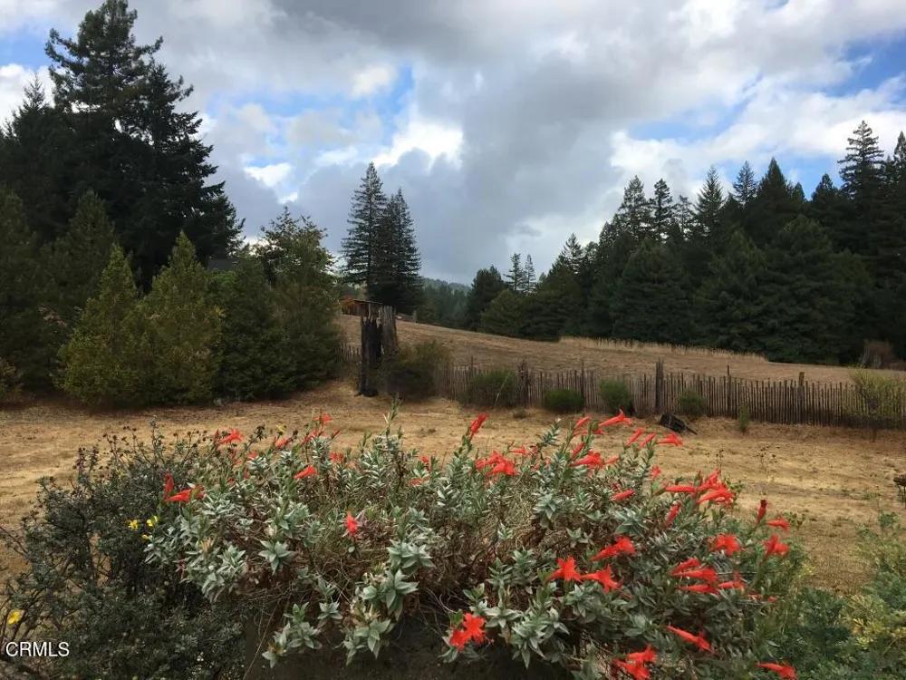 31501 Comptche Ukiah Road Comptche, CA 95427