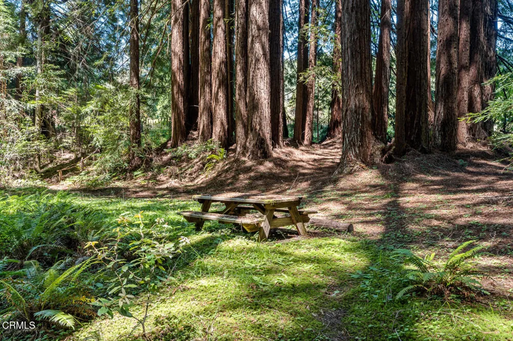 31501 Comptche Ukiah Road Comptche, CA 95427