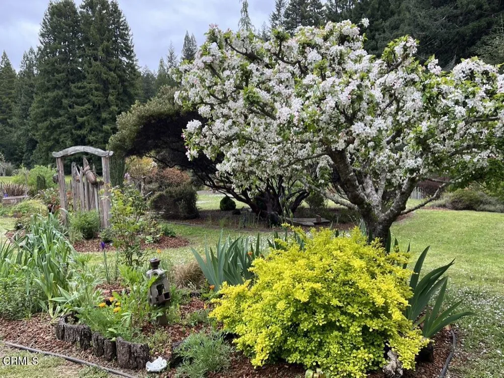31501 Comptche Ukiah Road Comptche, CA 95427
