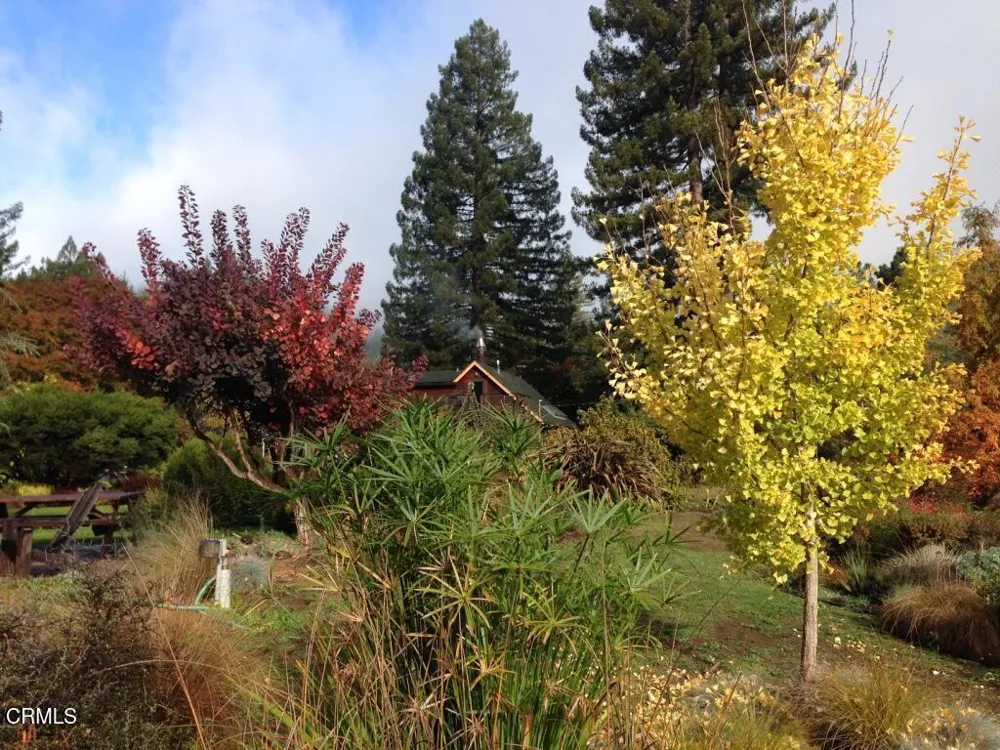 31501 Comptche Ukiah Road Comptche, CA 95427
