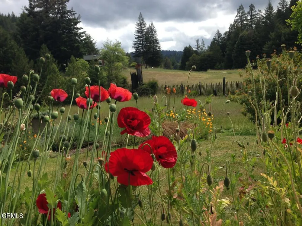 31501 Comptche Ukiah Road Comptche, CA 95427