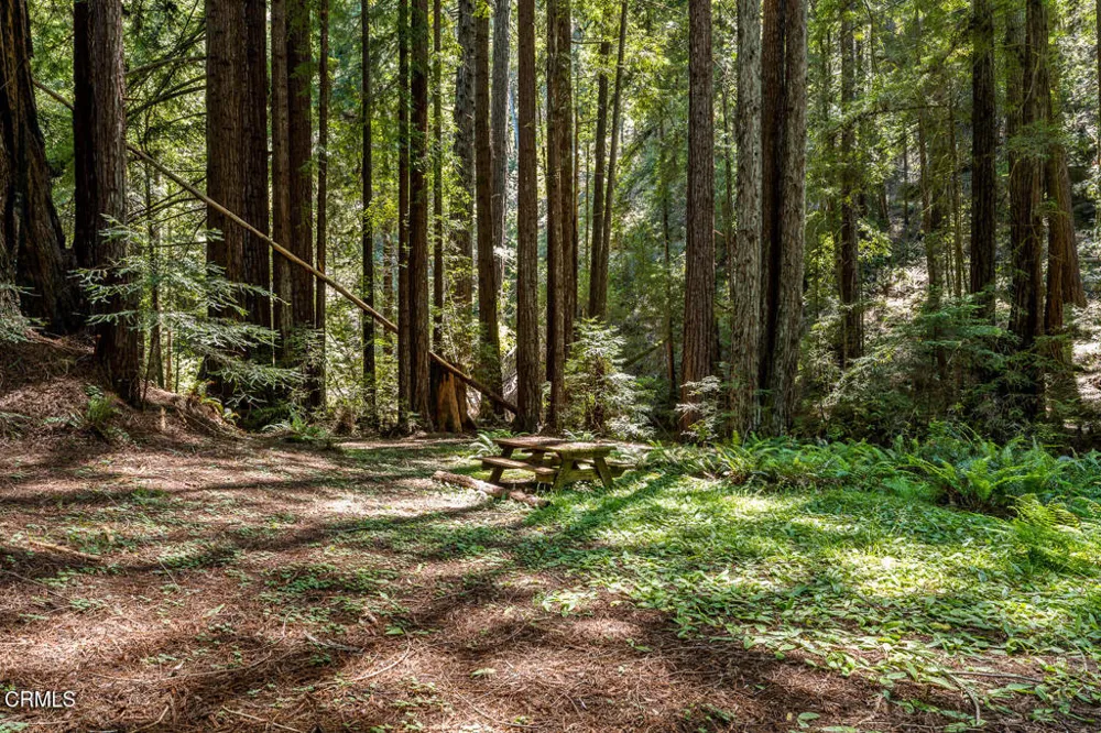 31501 Comptche Ukiah Road Comptche, CA 95427