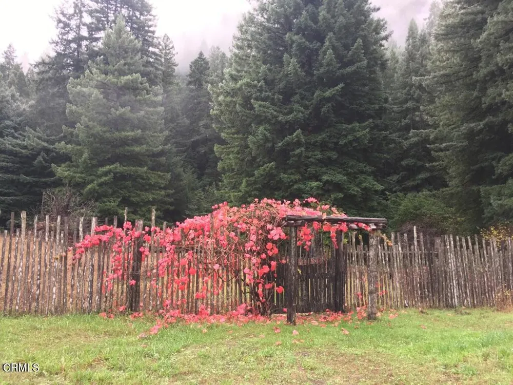 31501 Comptche Ukiah Road Comptche, CA 95427