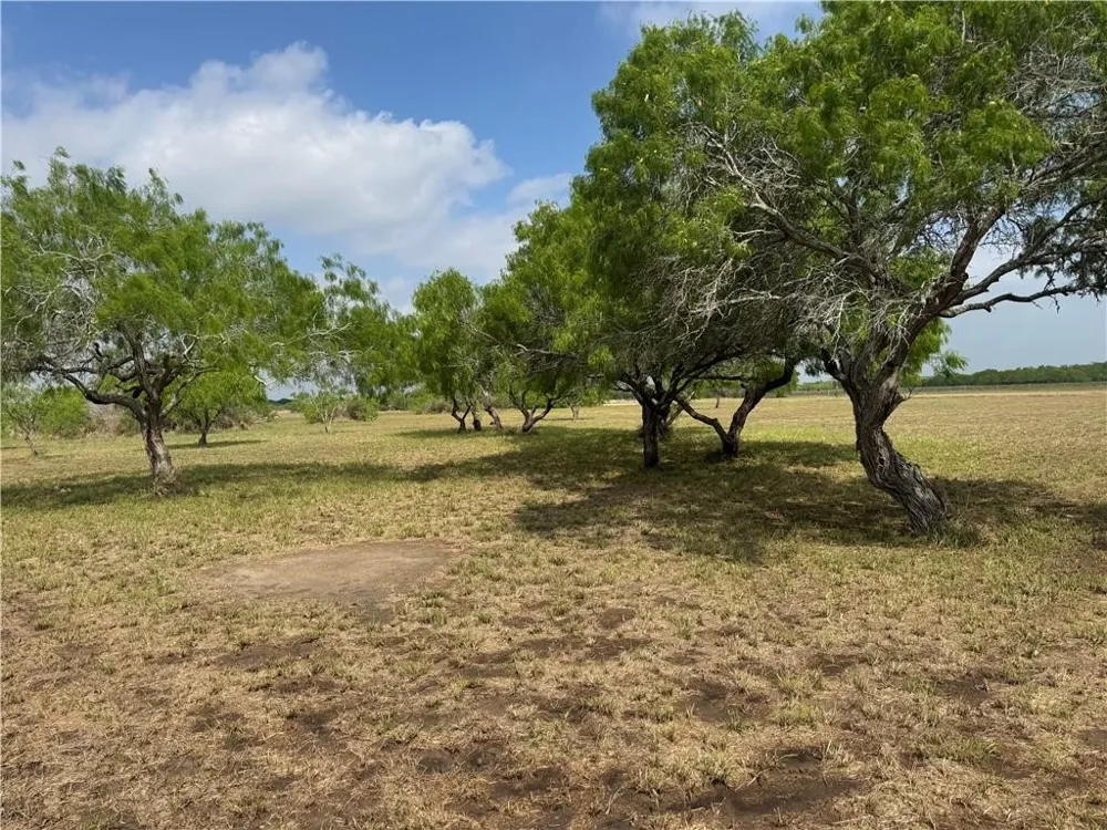 T-Head Drive Riviera, TX 78379