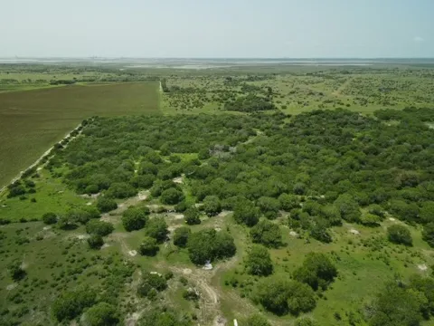CR1906