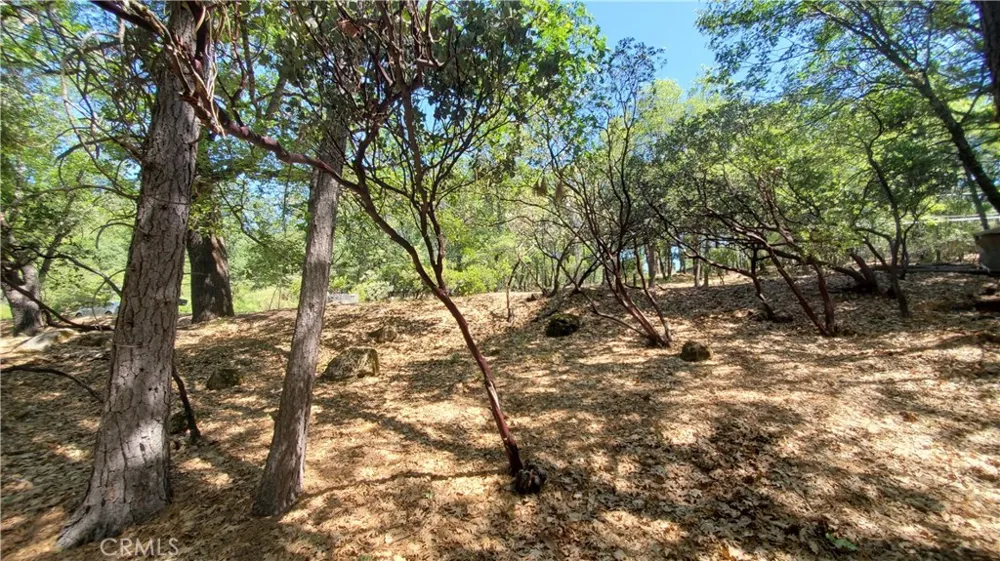 11545 Loch Lomond Road Loch Lomond, CA 95461