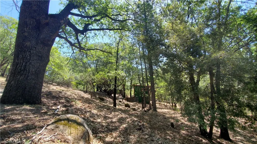 11545 Loch Lomond Road Loch Lomond, CA 95461