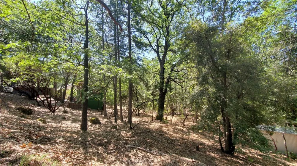 11545 Loch Lomond Road Loch Lomond, CA 95461