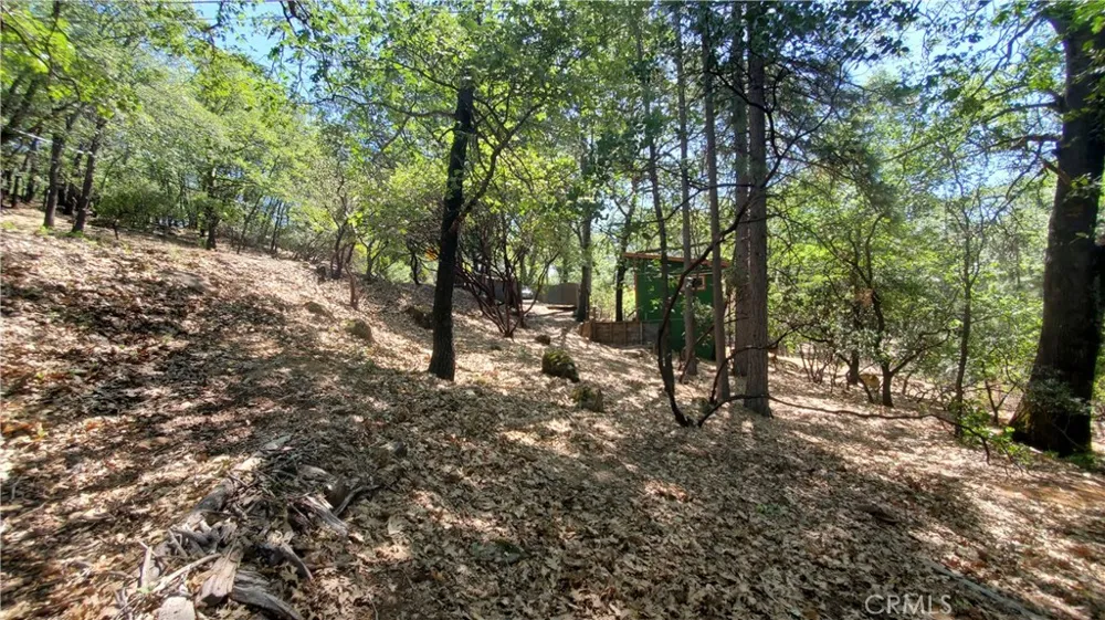 11545 Loch Lomond Road Loch Lomond, CA 95461