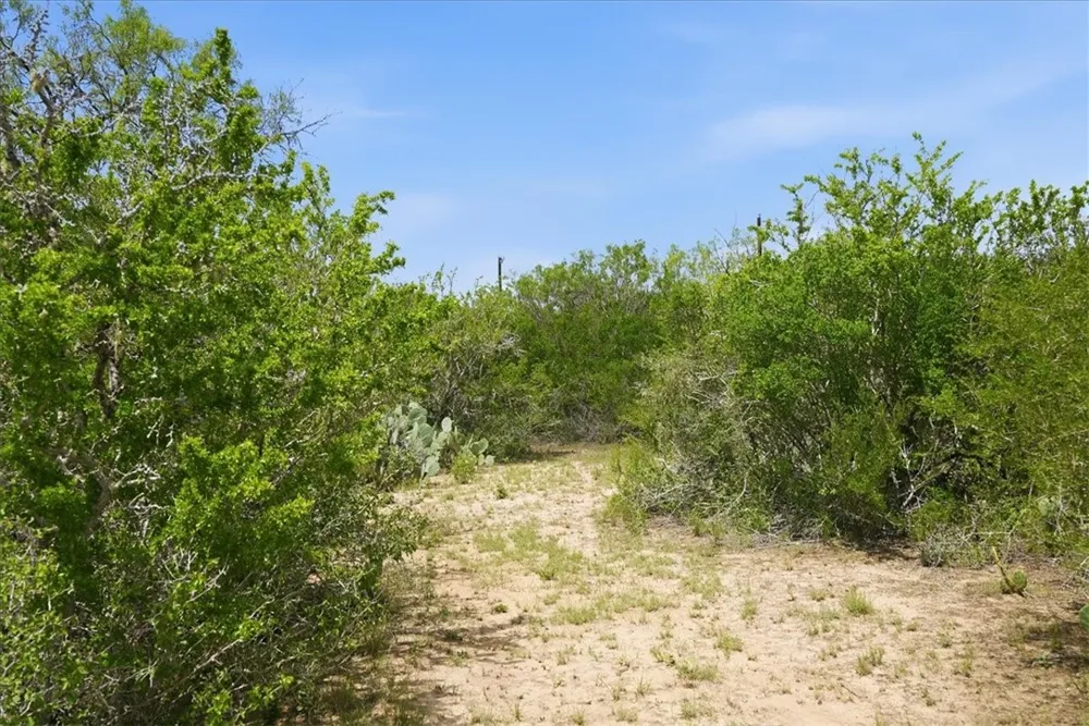 130 Choke Canyon Estates Three Rivers, TX 78071