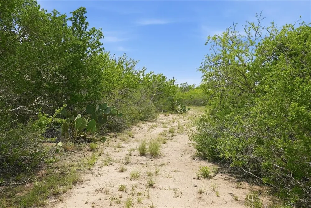 130 Choke Canyon Estates Three Rivers, TX 78071