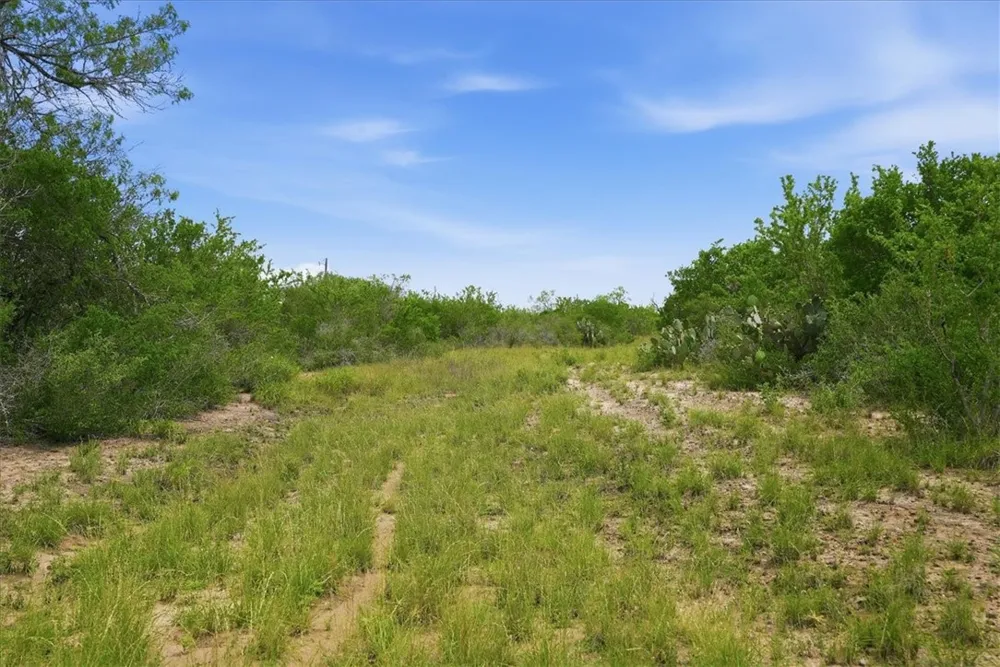 130 Choke Canyon Estates Three Rivers, TX 78071
