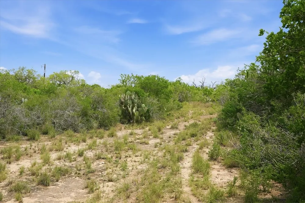 130 Choke Canyon Estates Three Rivers, TX 78071