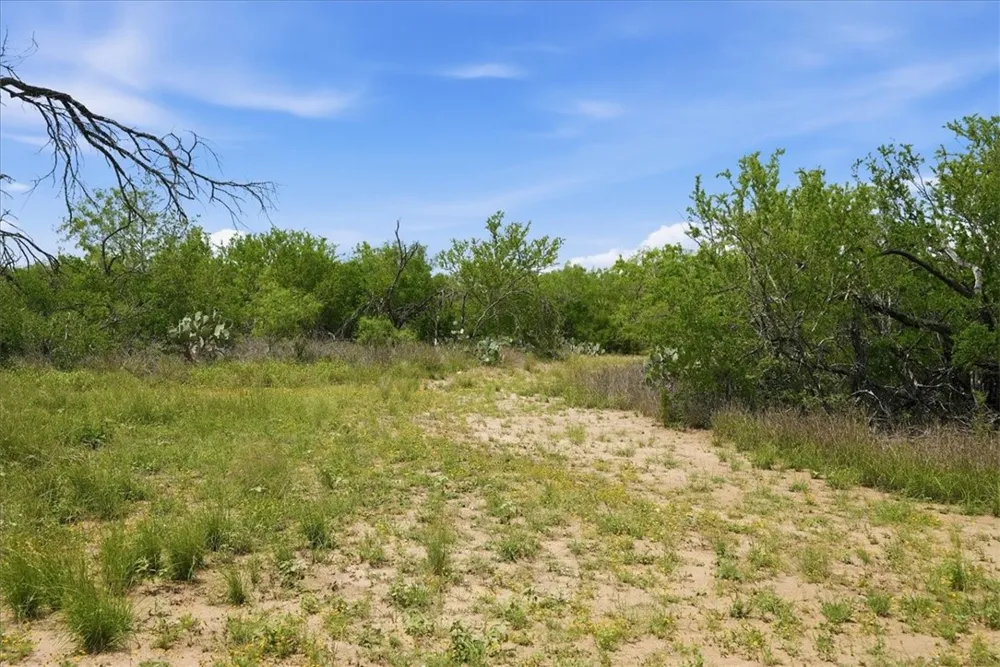 130 Choke Canyon Estates Three Rivers, TX 78071