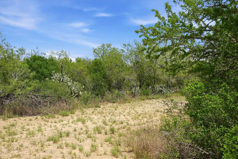 130 Choke Canyon Estates Three Rivers, TX 78071