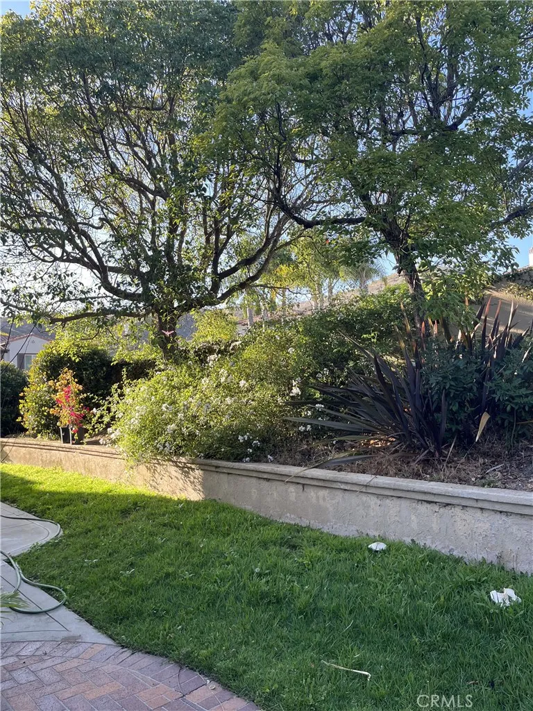 28192 Las Brisas Del Mar San Juan Capistrano, CA 92675