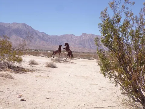 Borrego Valley Road
